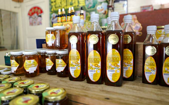 from kuala lumpur: private cameron highlands tour-5