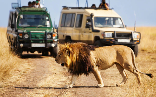 From Nairobi: Private Day Tour to Amboseli National Park
