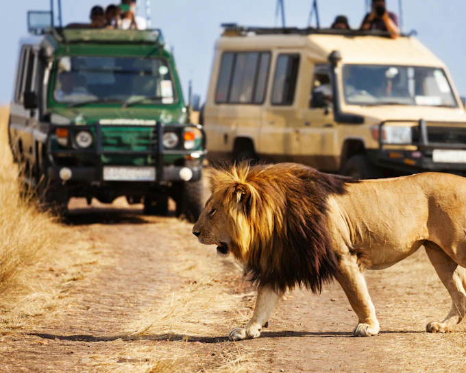 From Nairobi: Private Day Tour to Amboseli National Park