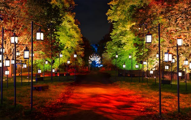 Pathway illuminated by lanterns in a forest setting, part of the Harry Potter Forbidden Forest Experience in Melbourne.