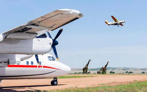 Aircraft on runway with giraffes in the background at Masai Mara aerodrome, Kenya.