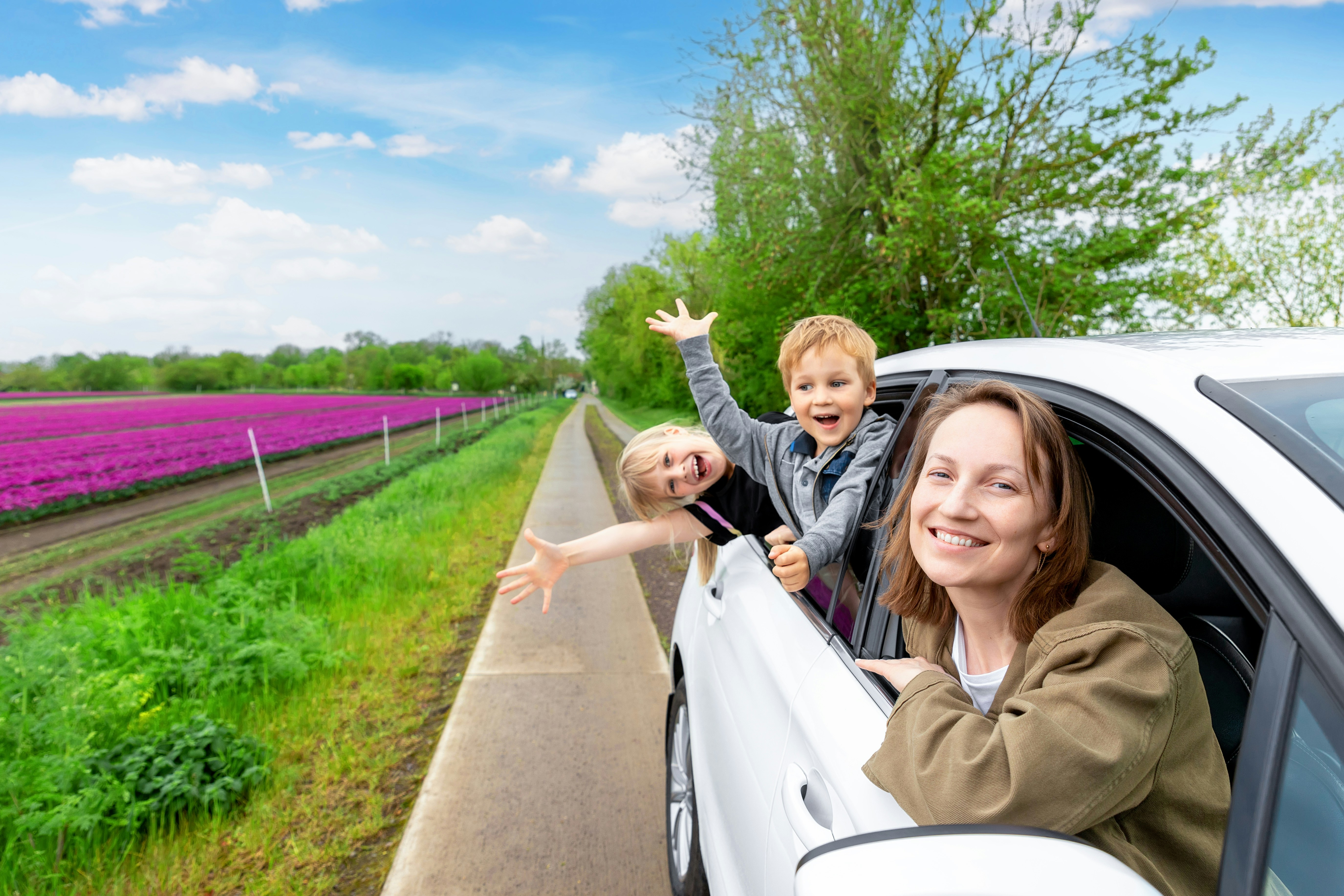 Family enjoying a car ride through Amsterdam countryside with tulip fields.