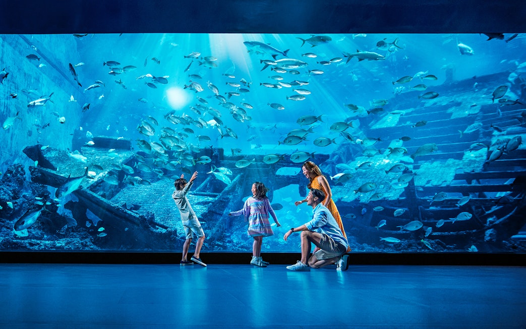 Family enjoying marine life at Open Ocean Habitat, S.E.A. Aquarium Singapore.