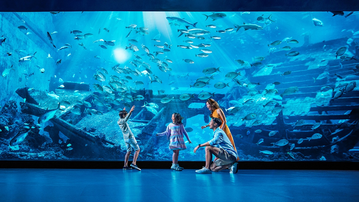 Seville Aquarium Tickets