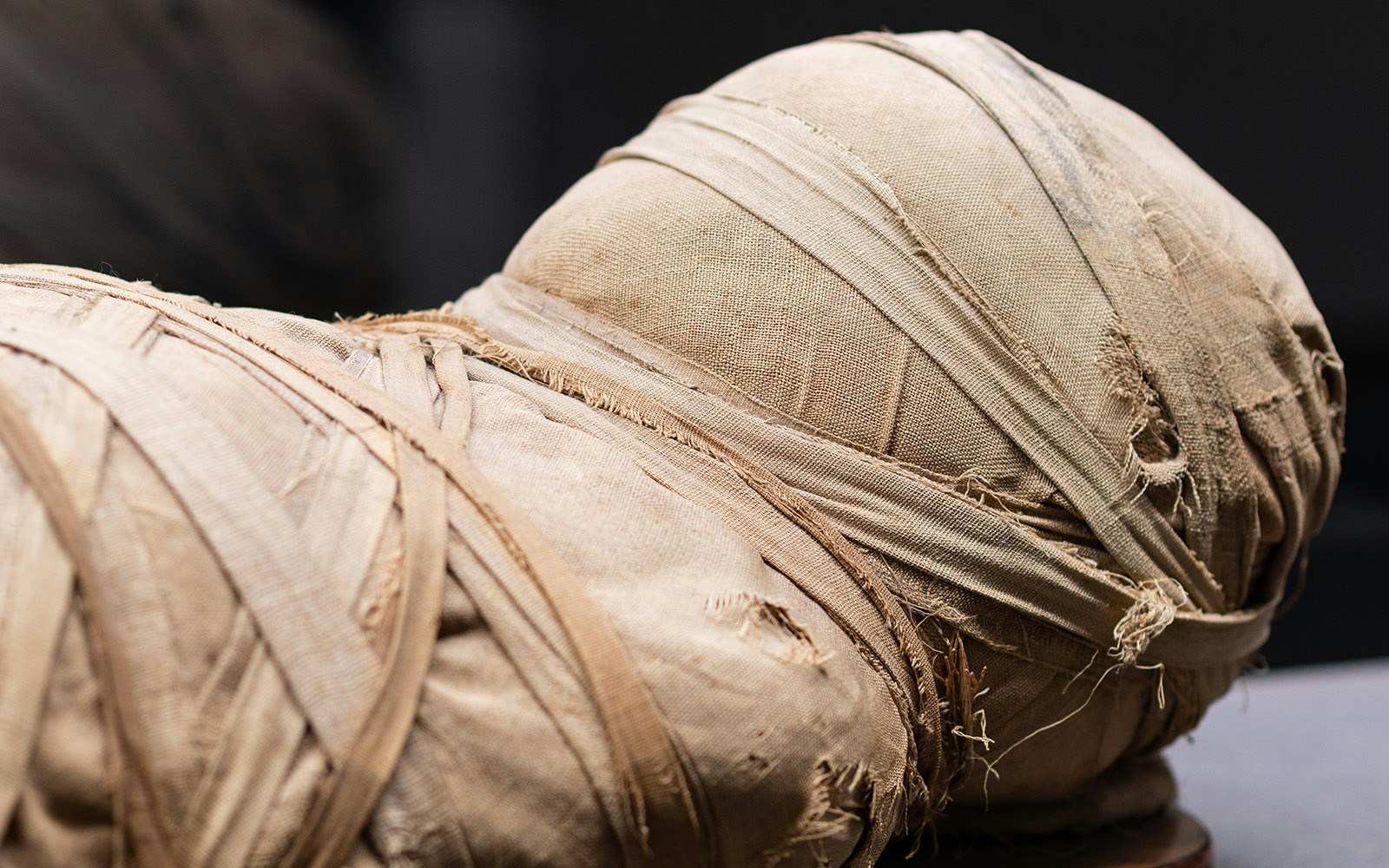 Ancient Egyptian artifacts including statues and hieroglyphs in a museum exhibit.