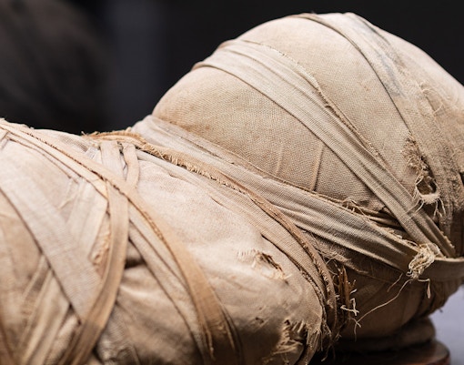 Mummified remains wrapped in linen, part of Egyptian collection.