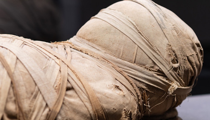 national archeological museum naples tickets