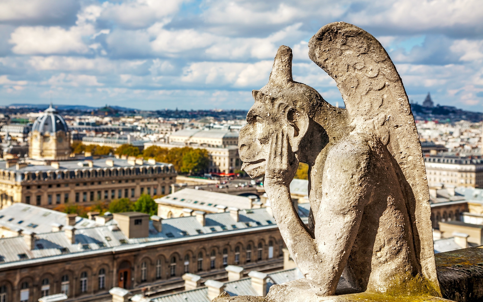 Gárgula de Notre Dame - catedral de notre dame