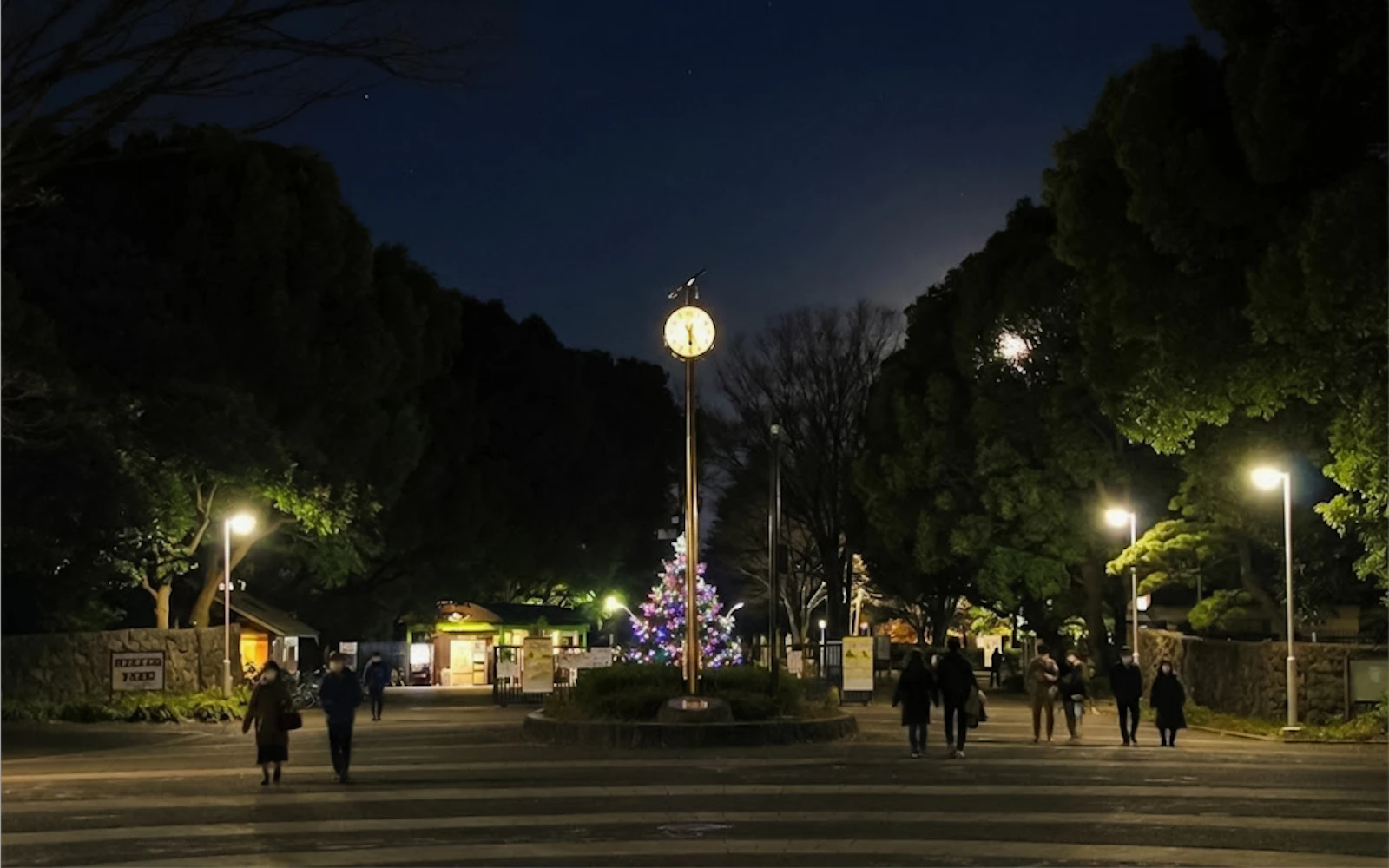 Tokyo Night Ghosts and Urban Legends Walking Tour with Aoyama Cemetery Image 5