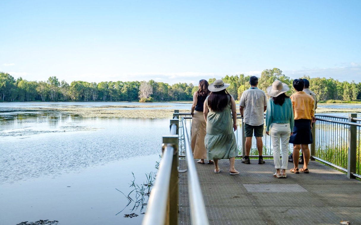 waterfall, wetlands and skyrail-11