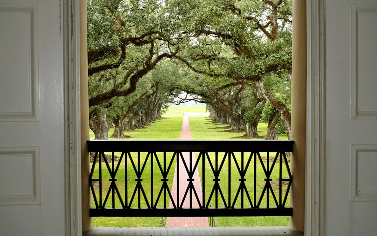 View of oak-lined path from Oak Alley Plantation balcony, New Orleans.