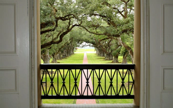 View of oak-lined path from Oak Alley Plantation balcony, New Orleans.