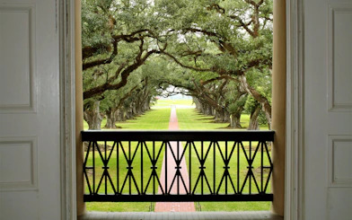 View of oak-lined path from Oak Alley Plantation balcony, New Orleans.