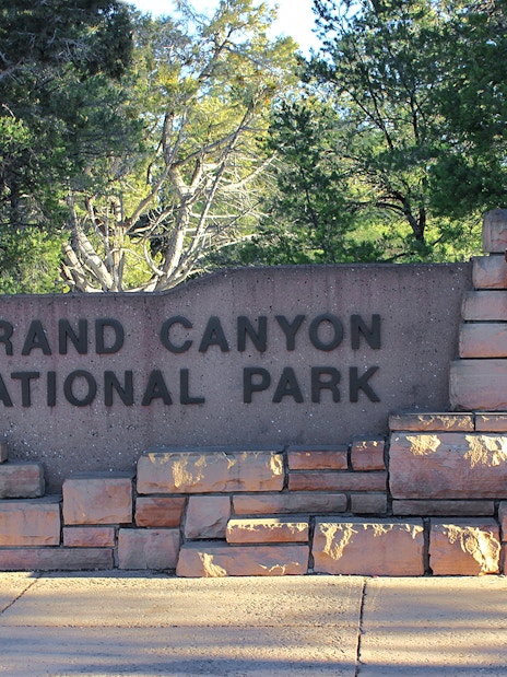 Grand Canyon National Park entrance sign surrounded by trees.