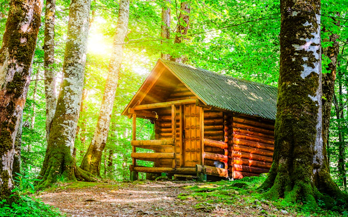 Cottage surrounded by lush rainforest in Biogradska Gora.