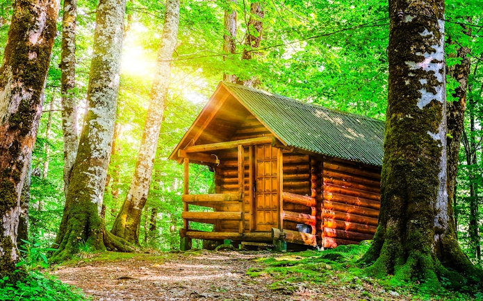 Cottage surrounded by lush rainforest in Biogradska Gora.