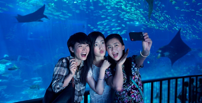 Sentosa Fun Discovery Pass