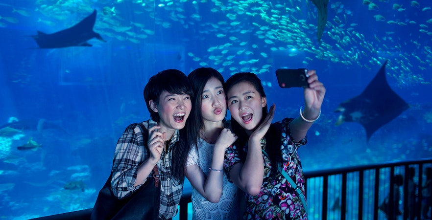 Sentosa Fun Discovery Pass