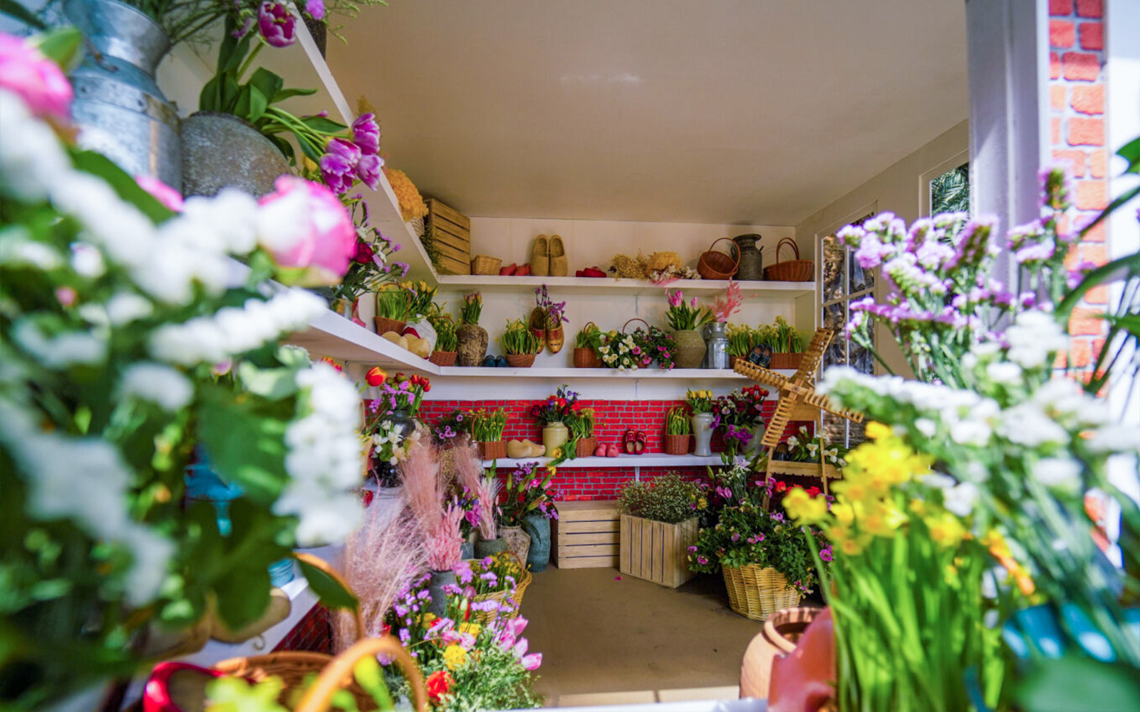Floral display with vibrant flowers and plants at Gardens by the Bay, Singapore.