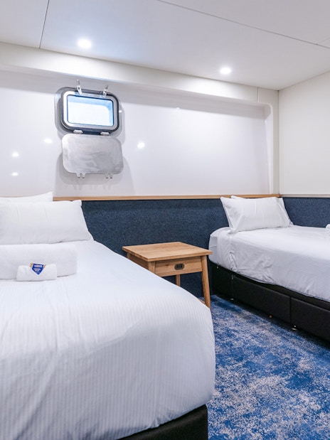 Cruise ship cabin with twin beds on Doubtful Sound cruise.