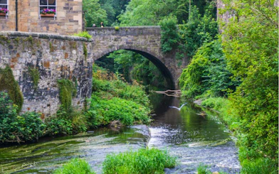 Stone bridge over a lush river in Edinburgh, part of the Romantic Edinburgh self-guided city exploration game.