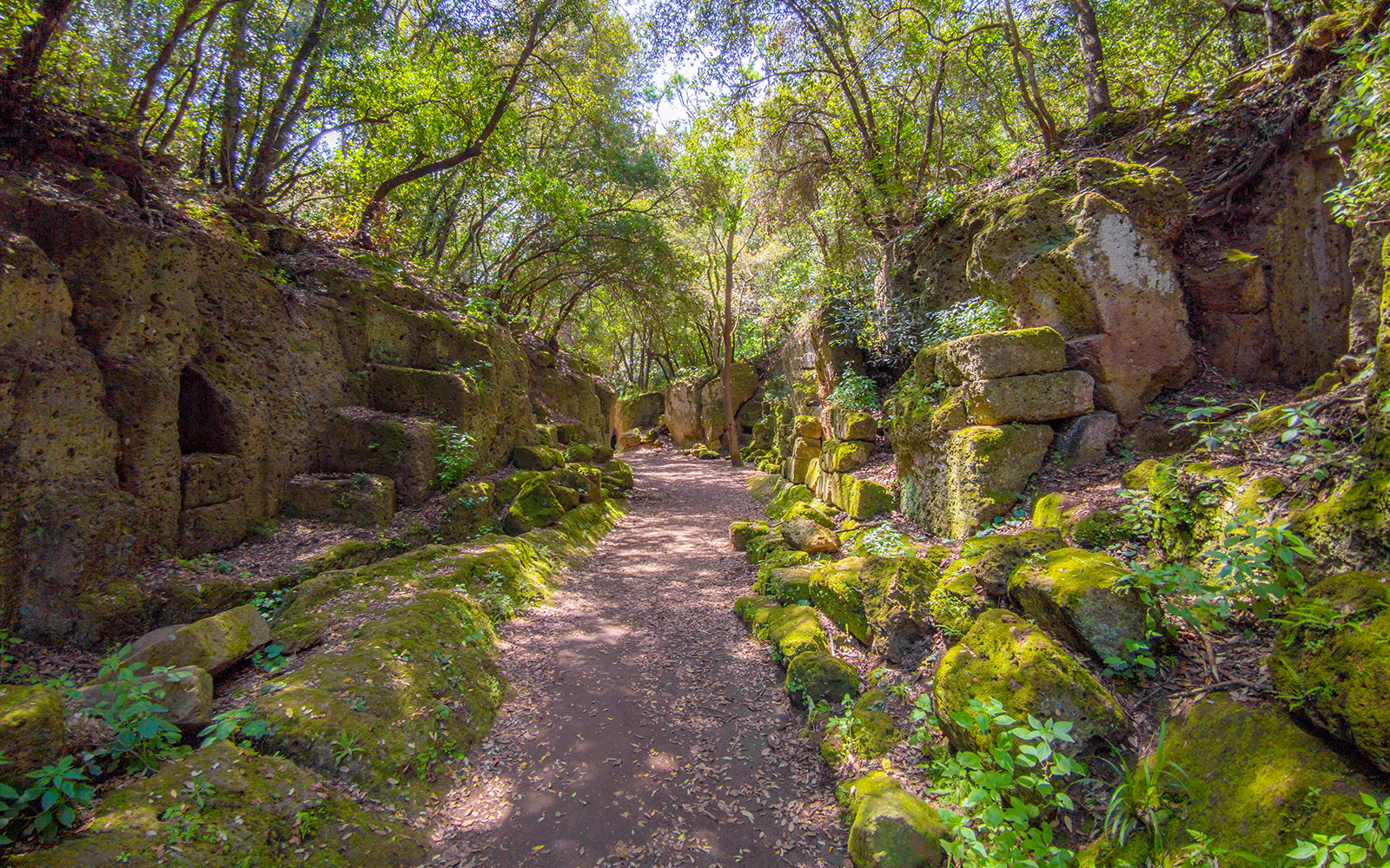 Esquiline Hill Gardens