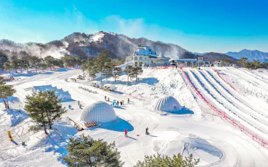Vivaldi Park Snowy Land with snow-covered slopes and igloos in Seoul.