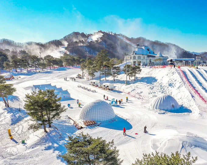 Vivaldi Park Ski World Official Pass + Shuttle from Seoul