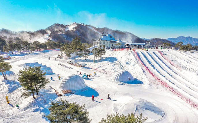 Vivaldi Park Snowy Land with snow-covered slopes and igloos in Seoul.