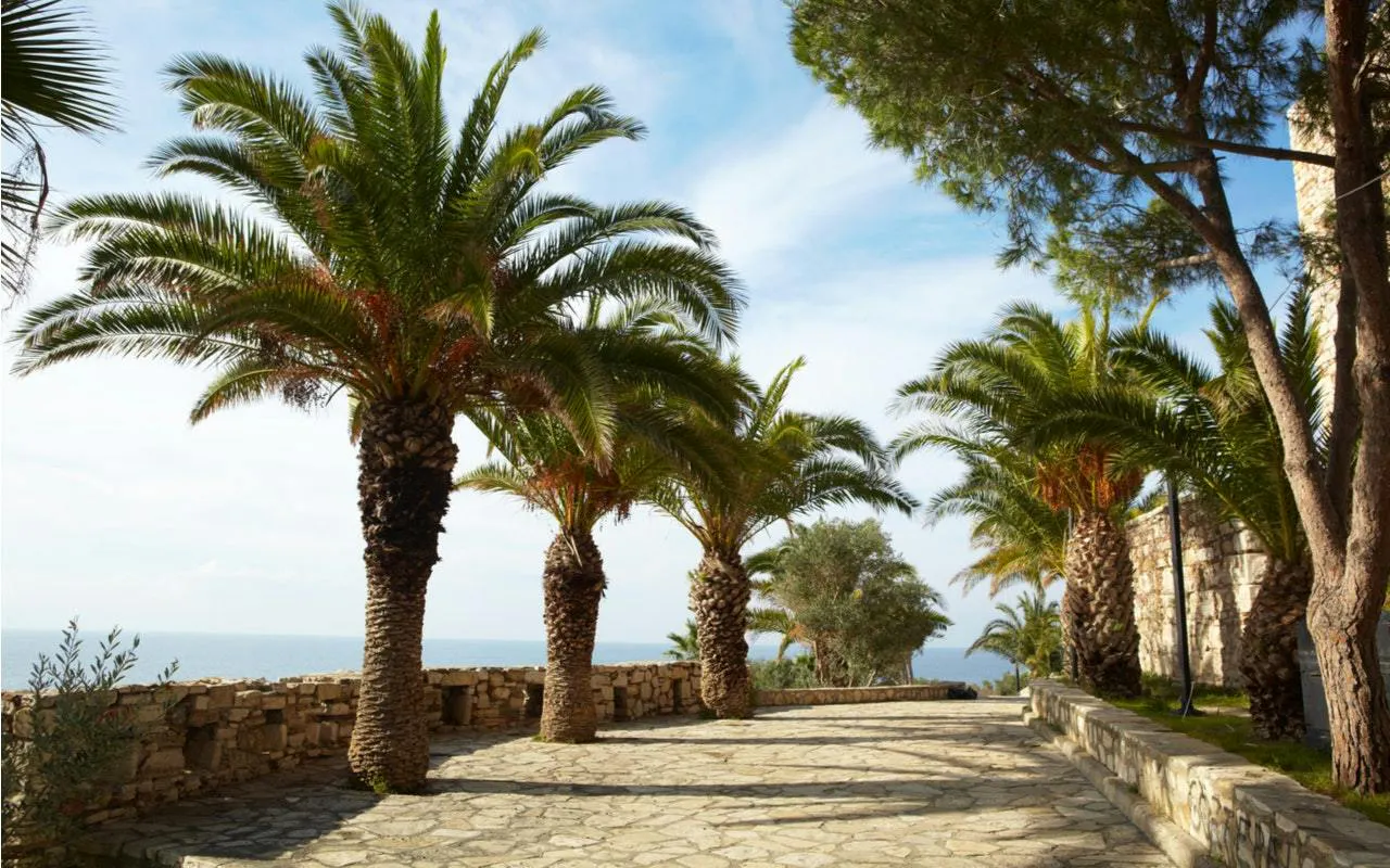 Palm-lined stone pathway along the coast in Kusadasi, Turkey, part of the Ottoman Culture exploration game.
