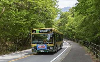 Sightseeing bus on a forested road near Kawaguchiko, Japan, with Mt. Fuji in the background.
