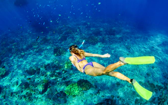 Snorkeler exploring coral reef in Mahebourg, Mauritius.