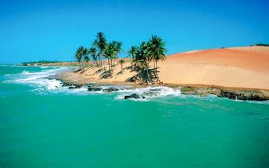 Lagoinha Beach with palm trees and cliffs by turquoise water, Fortaleza to Sao Paulo tour.