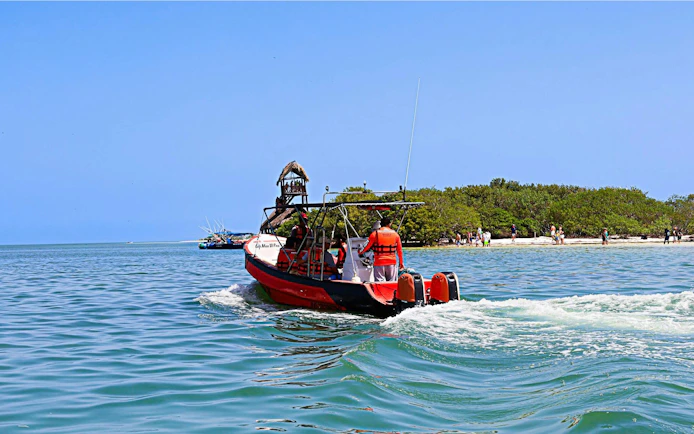 From Cancún: Holbox Island Day Trip with Isla Pasión, Punta Mosquito & Yalahau Spring
