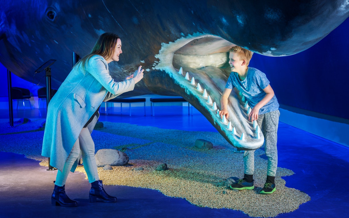 Child exploring whale exhibit at Whales Museum, Iceland.