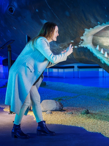 Child exploring whale exhibit at Whales Museum, Iceland.