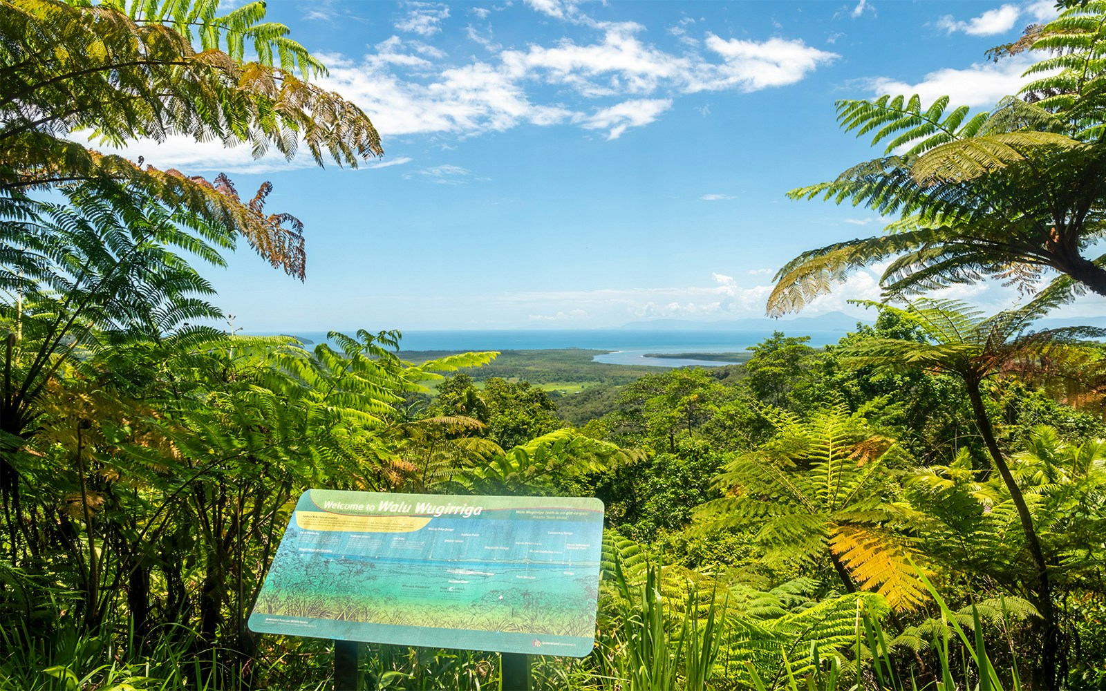 Daintree National Park view with lush greenery and coastal landscape.
