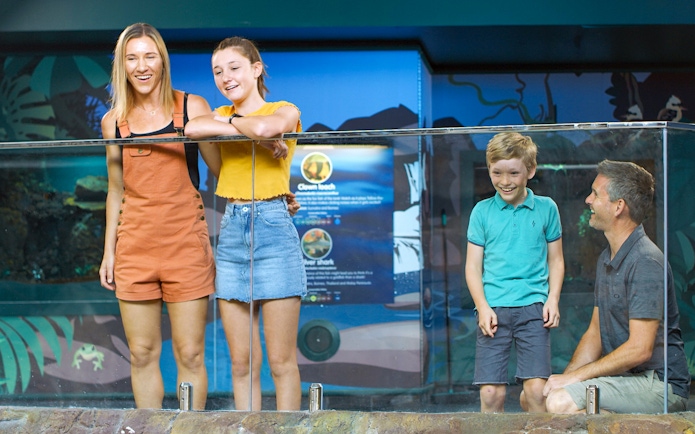 Visitors enjoying the aquarium exhibit at SEA LIFE Sunshine Coast.