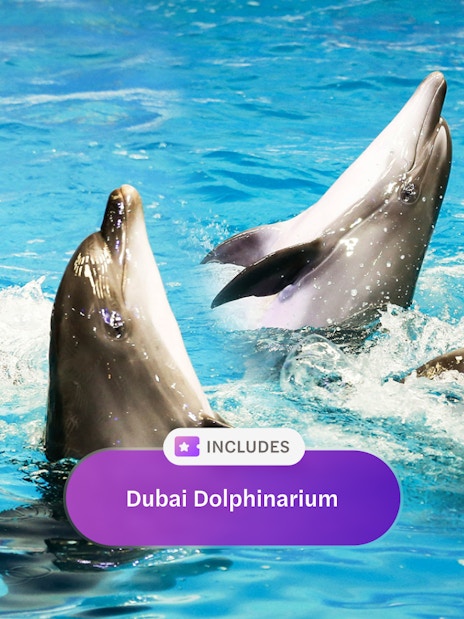 Dolphins performing at Dubai Dolphinarium show.
