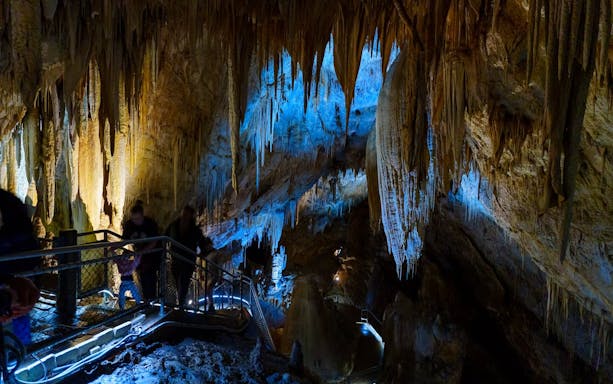 hastings caves, tahune airwalk and the huon tasting trail-3