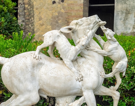 house of the deer, herculaneum