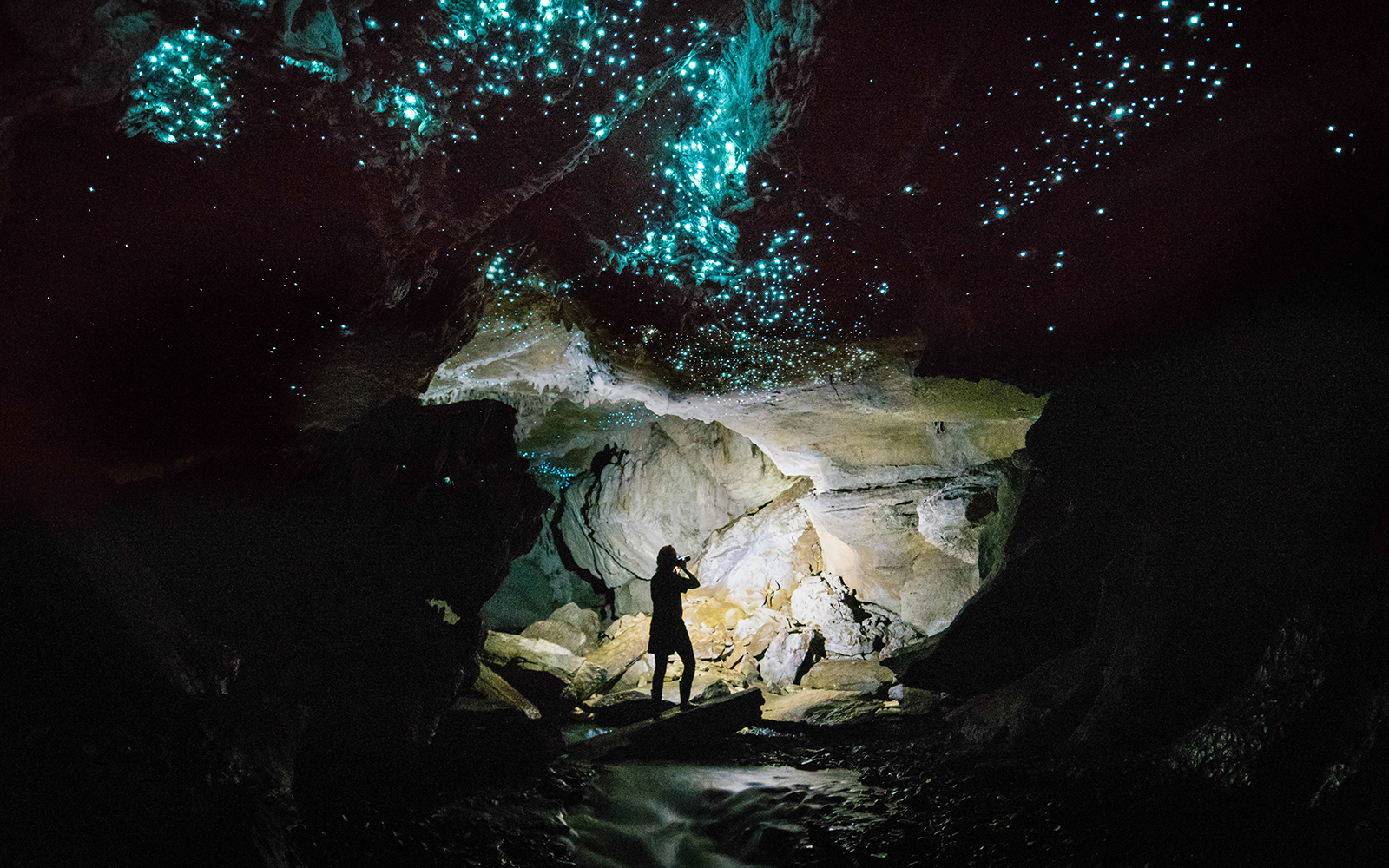 Person photographing glowworm display in Waitomo Caves, New Zealand.