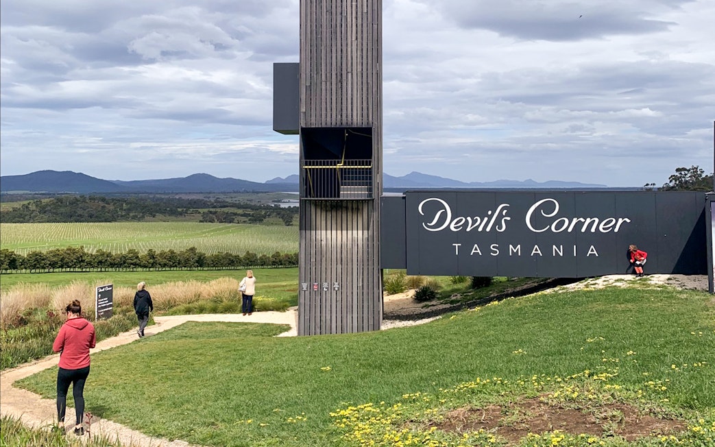 Devil's Corner Tasmania vineyard view on Wineglass Bay Explorer tour.