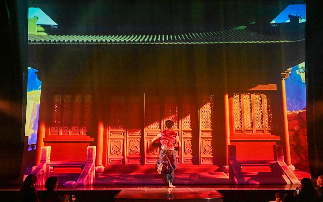 Performer on stage at Paris cabaret show with vibrant backdrop.