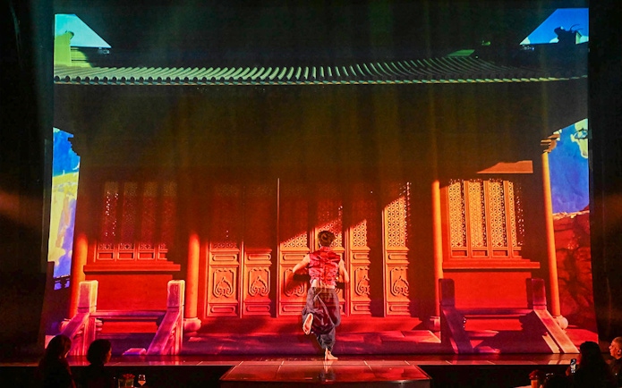 Performer on stage at Paris cabaret show with vibrant backdrop.
