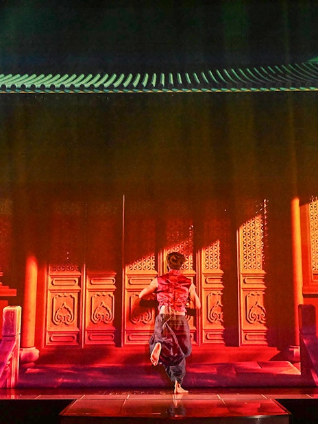 Performer on stage at Paris cabaret show with vibrant backdrop.