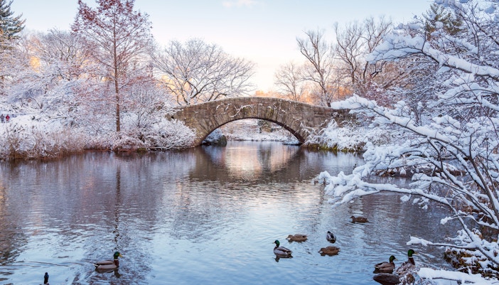 Christmas in New York- Winter wonderlands