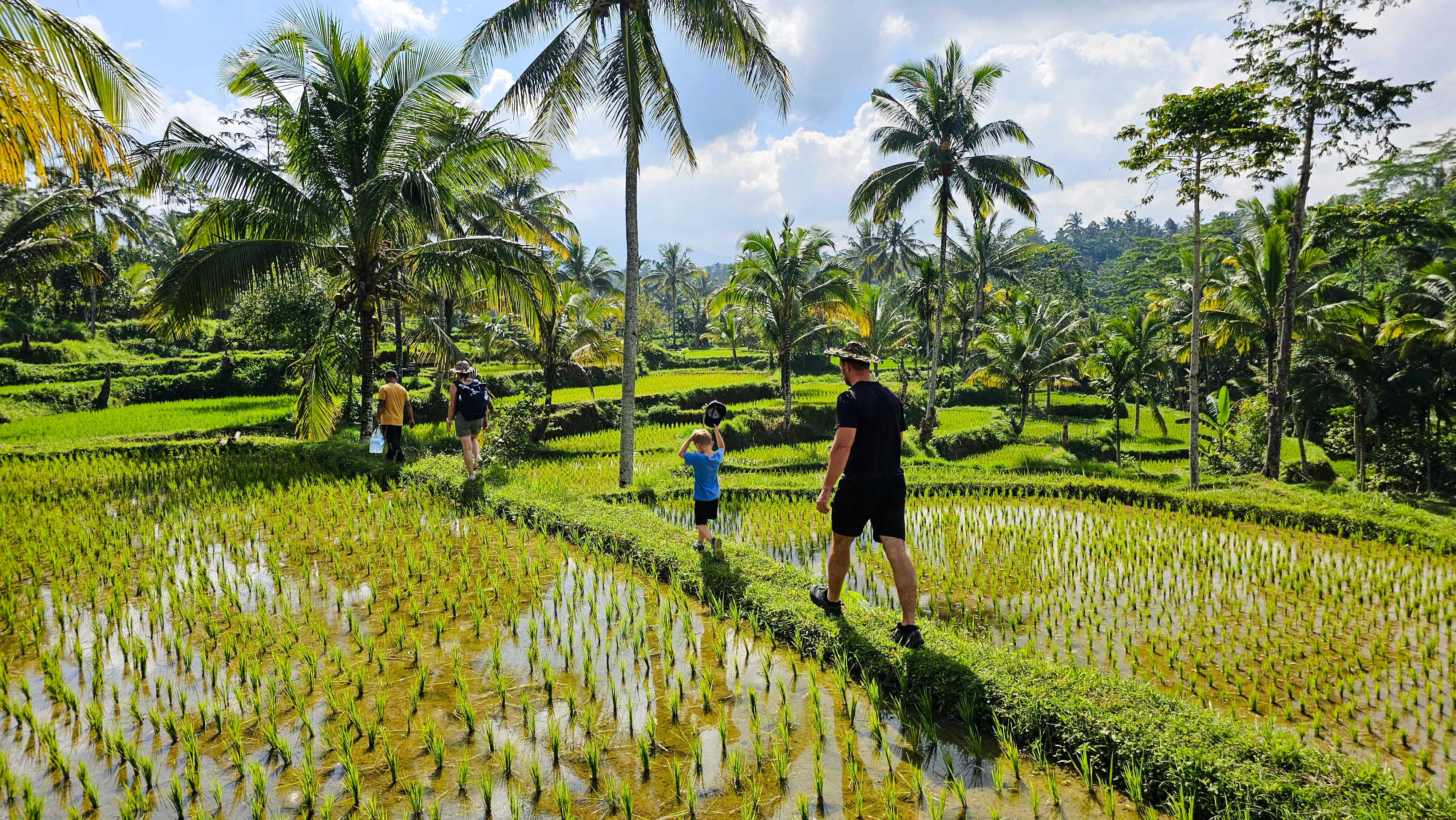 Lombok Private Day Trip: 4 Waterfalls, Rice Fields and Jungle Hike with Transfers Image 9