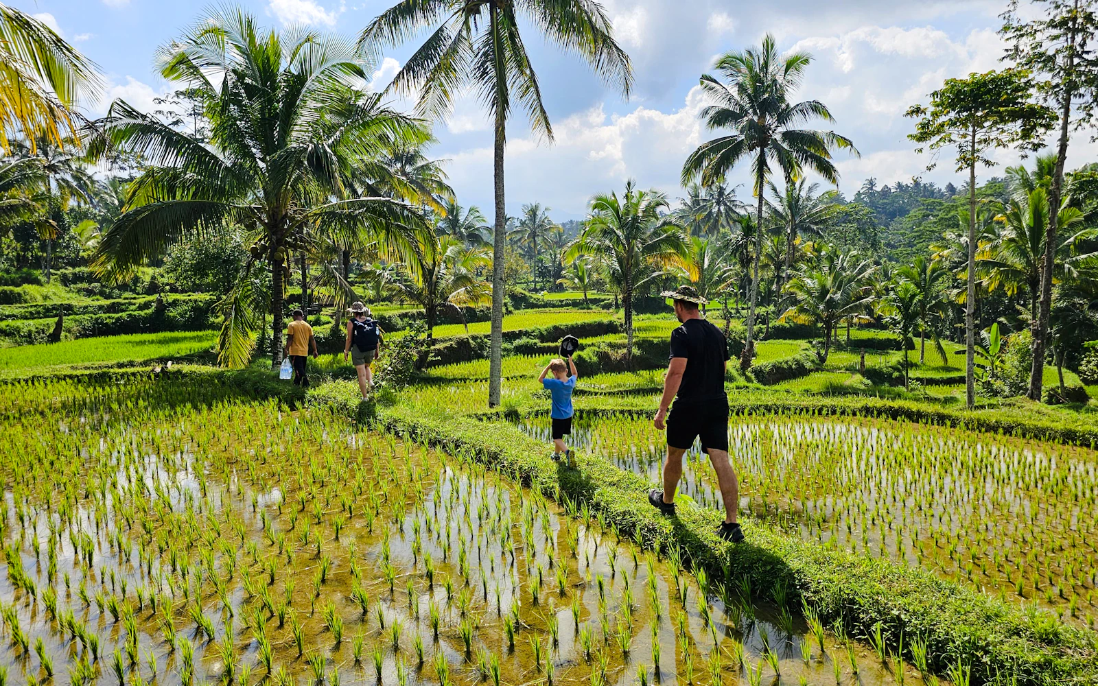 Lombok Private Day Trip: 4 Waterfalls, Rice Fields and Jungle Hike with Transfers Image 9