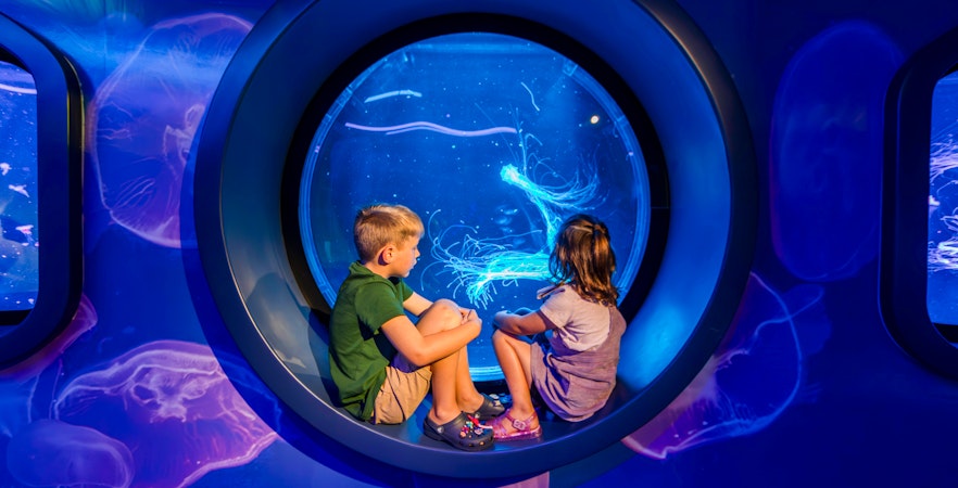 Lunar New Year Auckland